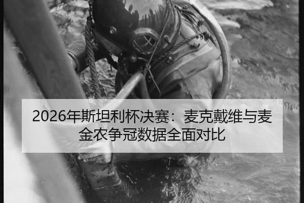 2026年斯坦利杯决赛：麦克戴维与麦金农争冠数据全面对比